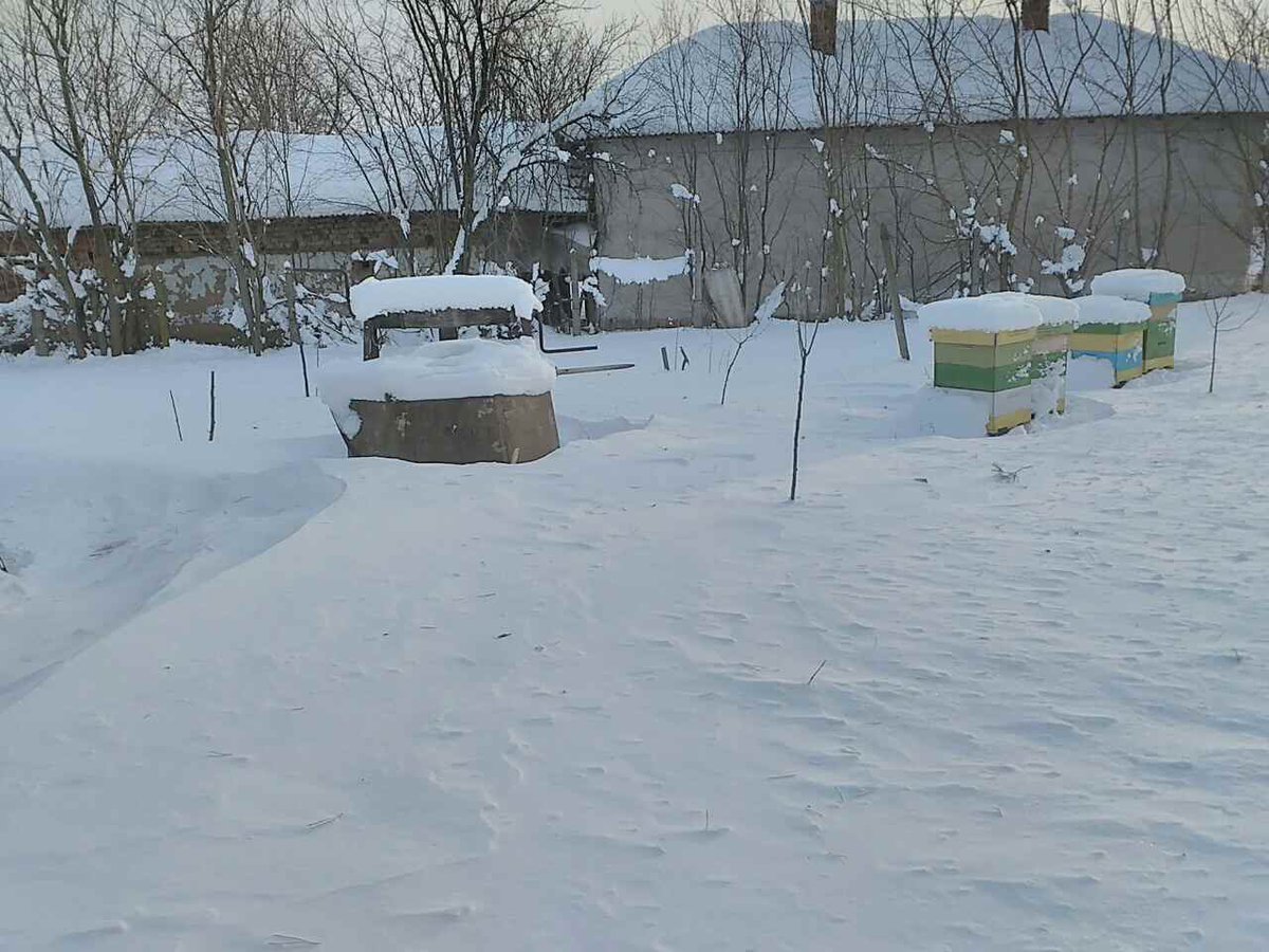 Our beehives snowed under = in winter the lovely #bees have no other choice, but to rest and eat their own delicious and #organic #honey!