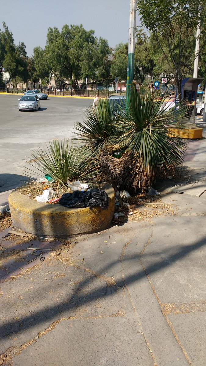 CarlosVSSB's tweet photo. @ContactoNau @denuncianau @CtoEducadoresSA @ColonosSatelite Satelite (ENTERO) esta hecho pedazos, !HELP! https://t.co/ZLL7KT4P73