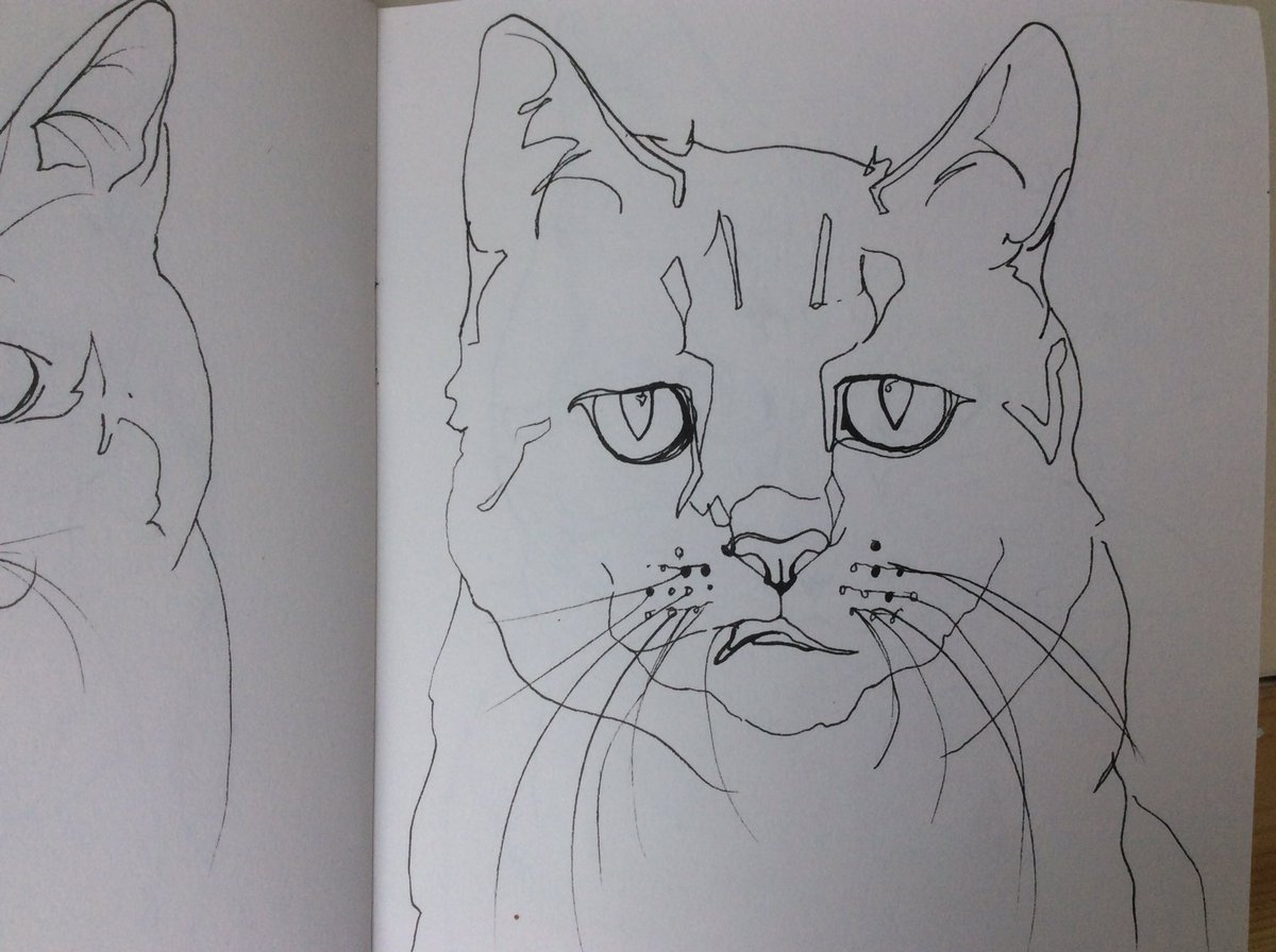 CathyMetalMiles's tweet photo. Today I am drawing grumpy cats. https://t.co/lzfti7iTve