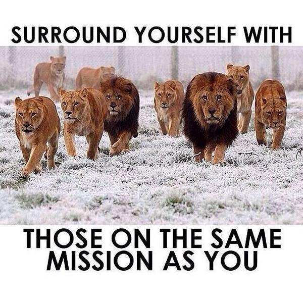 Gym_Buzz's tweet photo. preach https://t.co/CzlpKGxmd8
