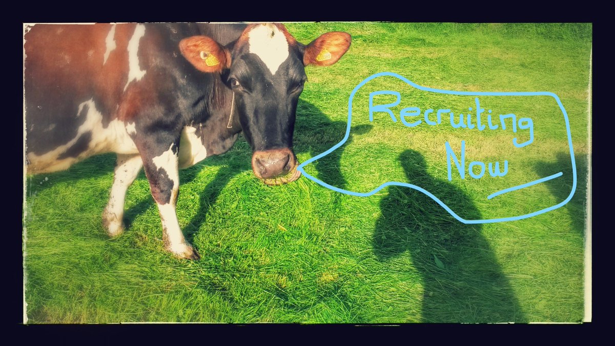 #Recruiting now a herdsperson to join our 250 cow organic dairy farm in Shropshire. Please Retweet #teamdairy #organicfarming #pasturebased