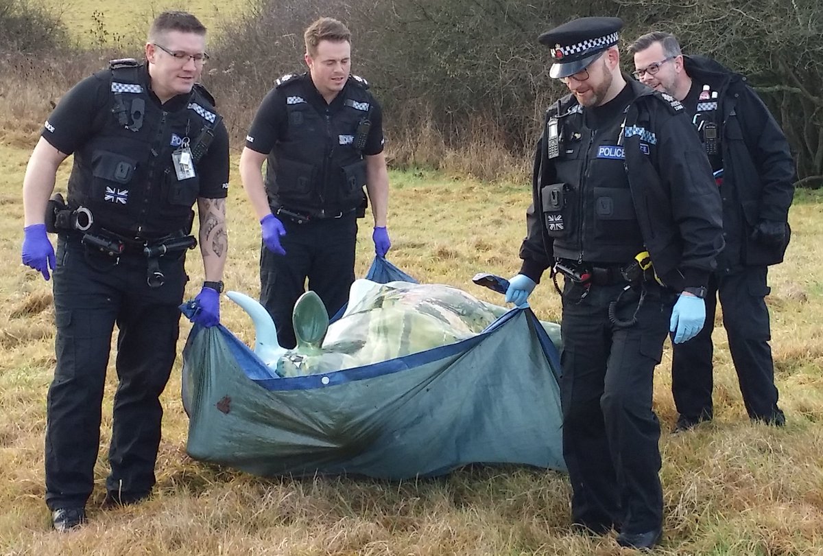 GREAT MOOOOOS: Cycling Moo Kay who was stolen from Box Hill last year has been found! facebook.com/MoleValleyPoli…