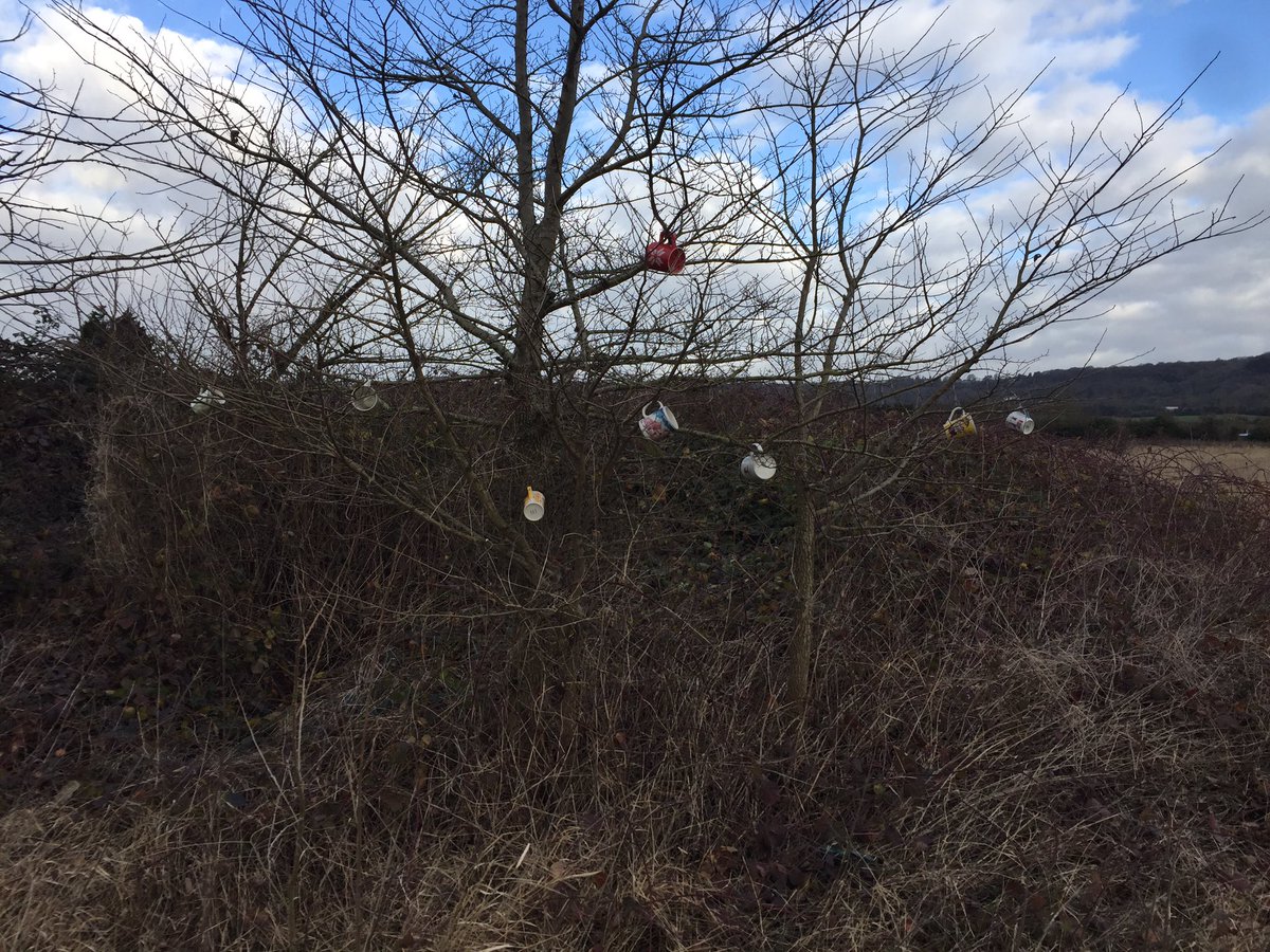 MerlinnotDesmo's tweet photo. Mugs grow on trees?  #mugtree 😆 https://t.co/pI46t6OBHa
