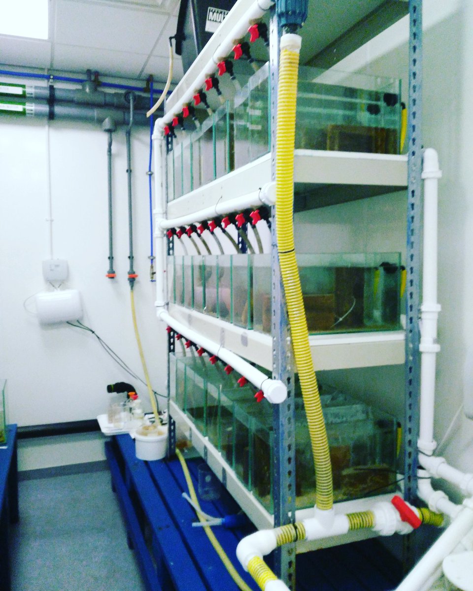BenWalkerMarine's tweet photo. Let's get these cultures in order #newyearnewlab https://t.co/8IpSfOpM8r