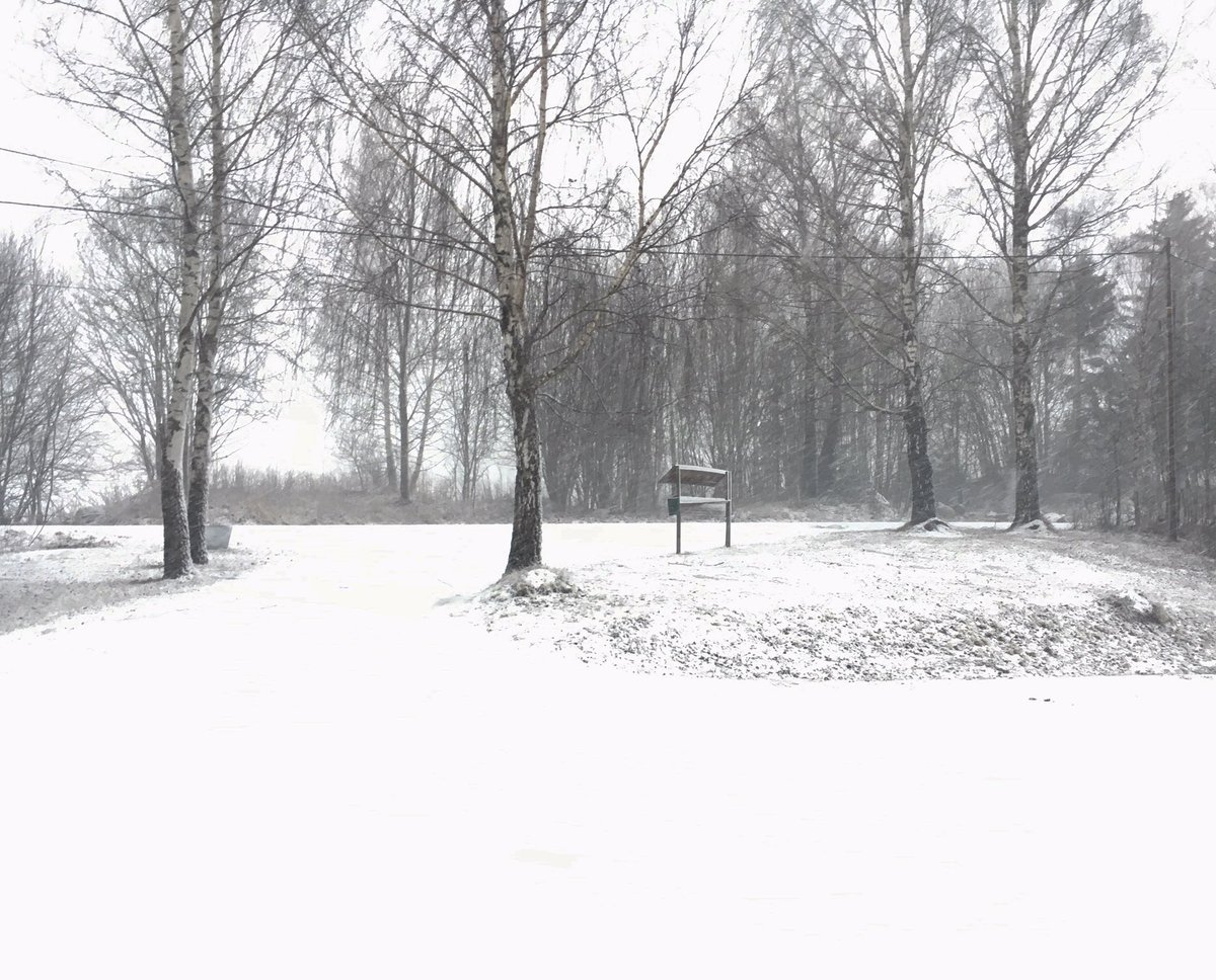 knutty's tweet photo. Snowy day https://t.co/BWB1TxLAc5