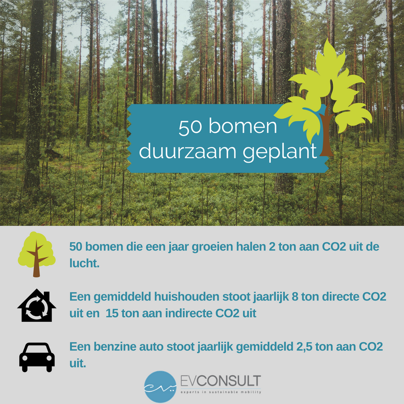 EVConsultNL's tweet photo. 50 bomen geplant @TreesForAll voor onze #Tree4EV actie. Wil je echt bijdragen aan CO2 reductie? Go electric! https://t.co/Iq0i7uoafv