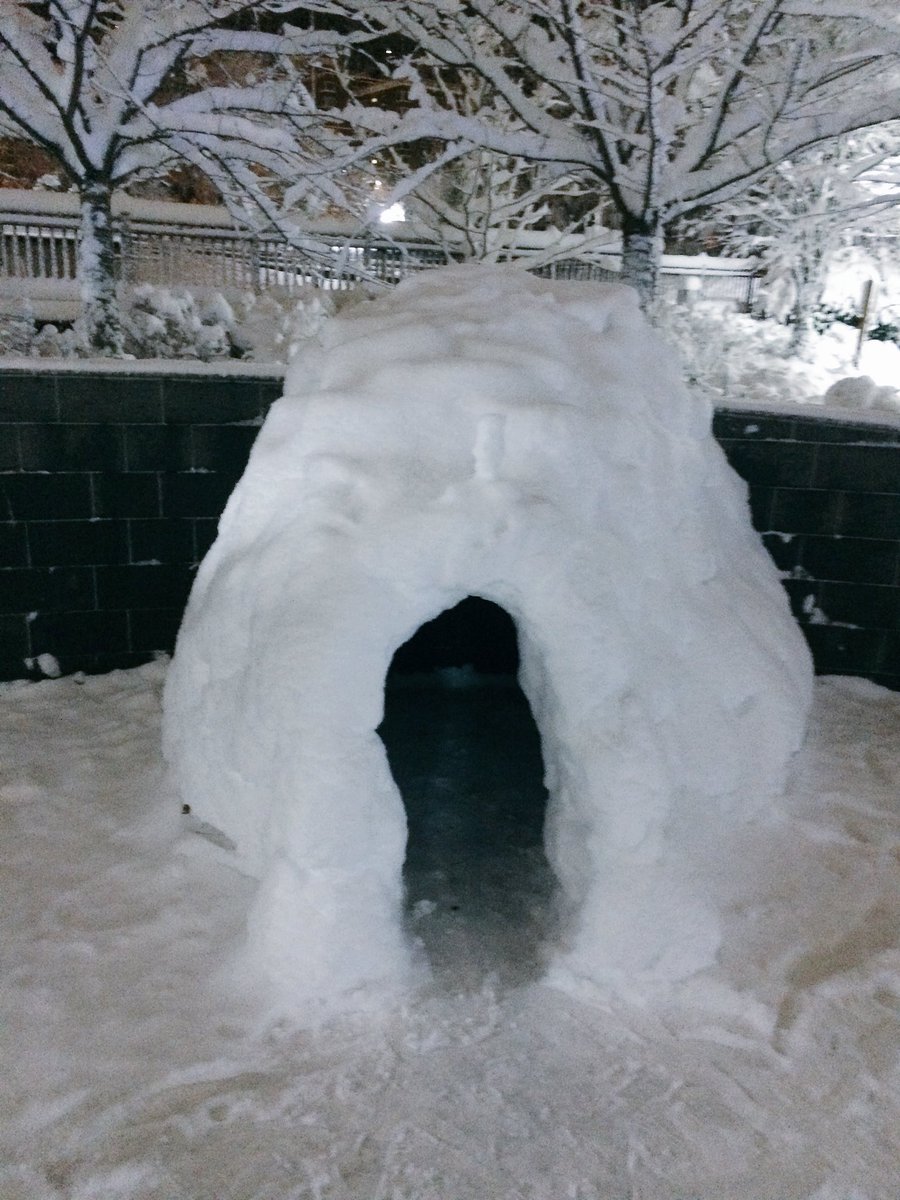 shgbikram's tweet photo. The best and the worst of snowpocalypse! @Portland_State #PortlandState #pdxsnow https://t.co/upp4M8QolA