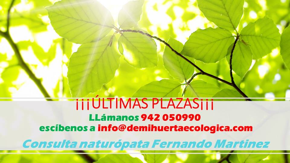 LMDSantander's tweet photo. ¿Quieres empezar a cuidarte?
Viernes 13 de enero de 16:30 a 20:00h consultas de naturopatía en De Mi Huerta Ecológica.
#propositos2017 https://t.co/rWOUT5JBkT