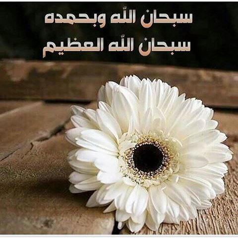 mmmm83639's tweet photo. https://t.co/zMRKJBQtjC