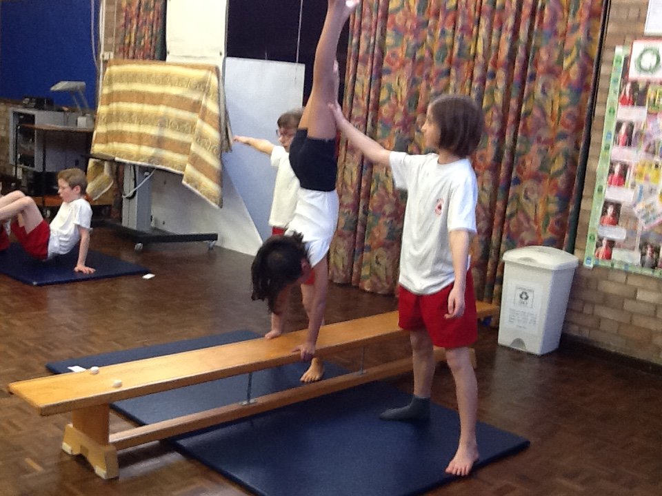 MapleSchoolYr4's tweet photo. Last one ! https://t.co/cuBJoD6A65