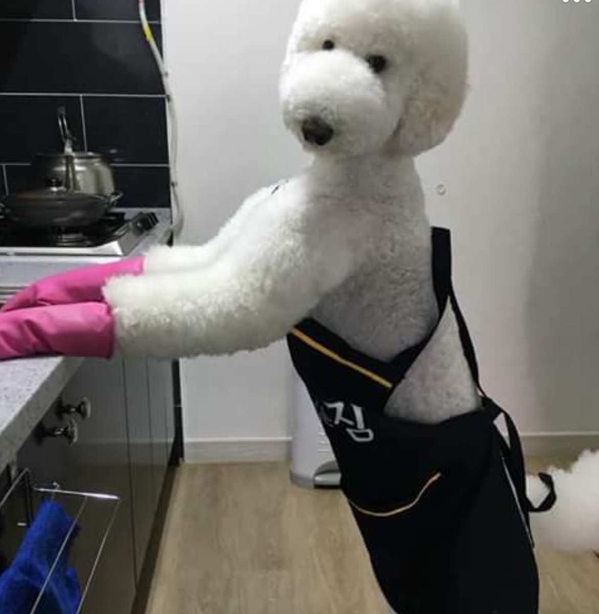 촛불하나🕯40K #세상을 밝히는 (@gimys63331) on Twitter photo 