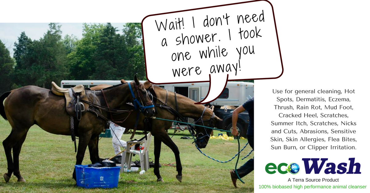 MyTerraSource's tweet photo. This intelligent animal wash has proven to successfully address epidermal health. Get 10% OFF using promo code LOVE2017 https://t.co/cWYIzSMWYX