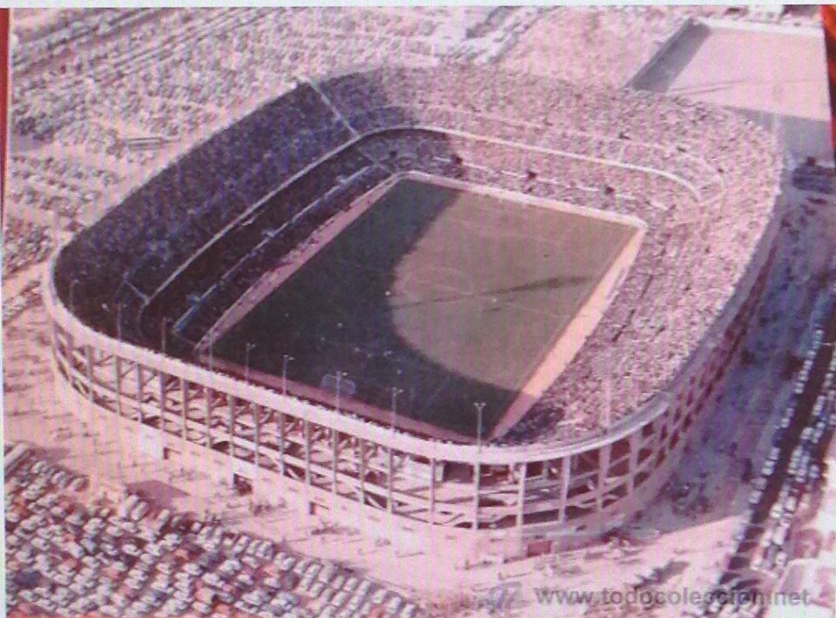 Fossaev 🏳️ tweet media