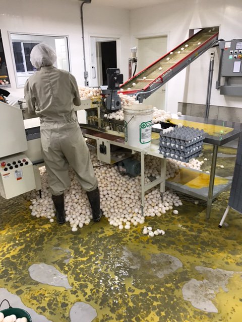 GetCracking's tweet photo. Think you're having a bad day? It can always be worse. #wednesdaywisdom #oops #facepalm https://t.co/Mj59gWZu5Z