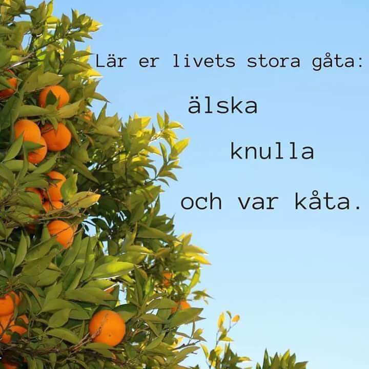 SnottFacebook's tweet image. Livets stora gåta #roligt #snottfrånfacebook #facebook #humor