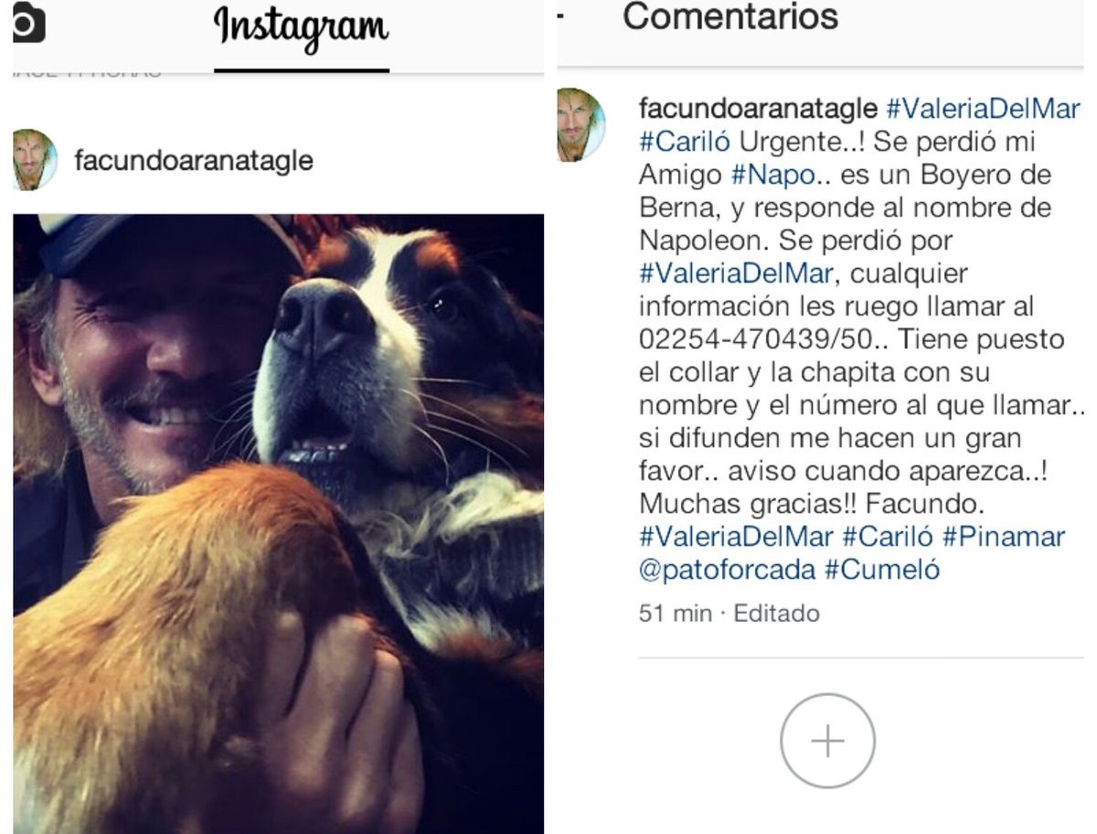 LuaLarsson's tweet photo. RT Tenemos que encontrarlo!!!  Ayúdanos #Napo
Se perdió en la zona de #ValeriaDelMar #Cariló #Pinamar 🇦🇷🇦🇷
Me ayudas con RT @AlejandroSanz https://t.co/F1r49j7Zr8