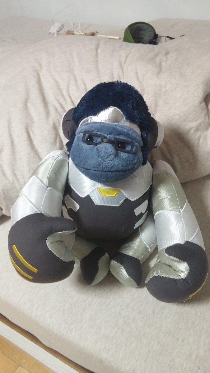 Geguri  [게구리] tweet media