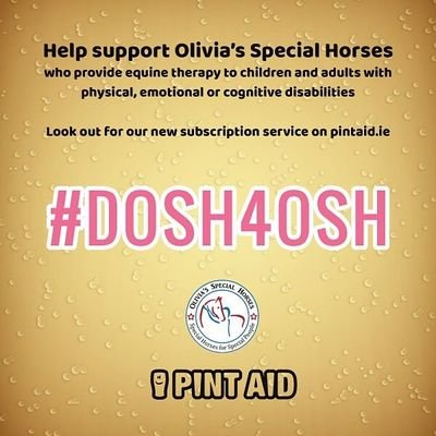 Ability_AEAT's tweet photo. How about donating one of those lovely Friday evening pints to our horsey charity??!!We need funds to continue to provide therapy #Dosh4OSH https://t.co/mzZG7P1SnY