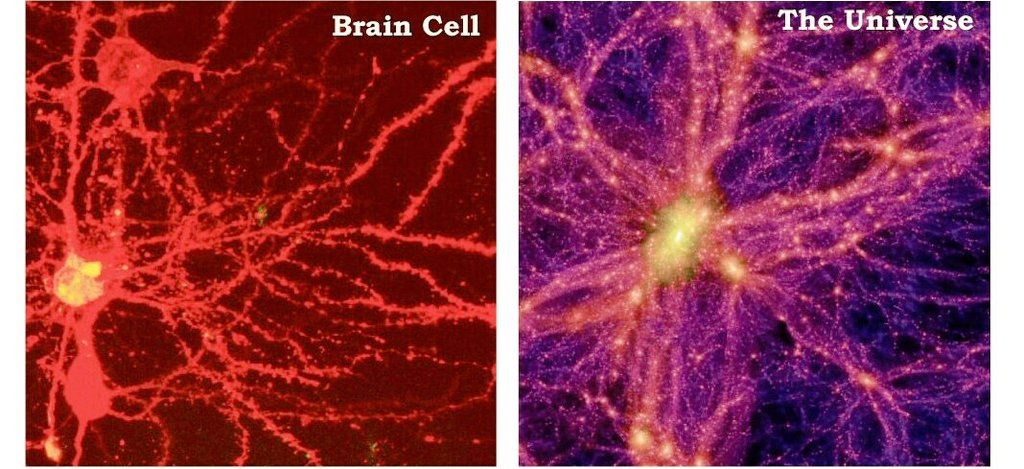 TheBridgeKAU's tweet photo. The Universe is similar to our brain cells  🌌 كونٌ تعيشُ فيهِ .. وَ كونٌ يعيشُ فيكْ https://t.co/UNnaTQr20g
