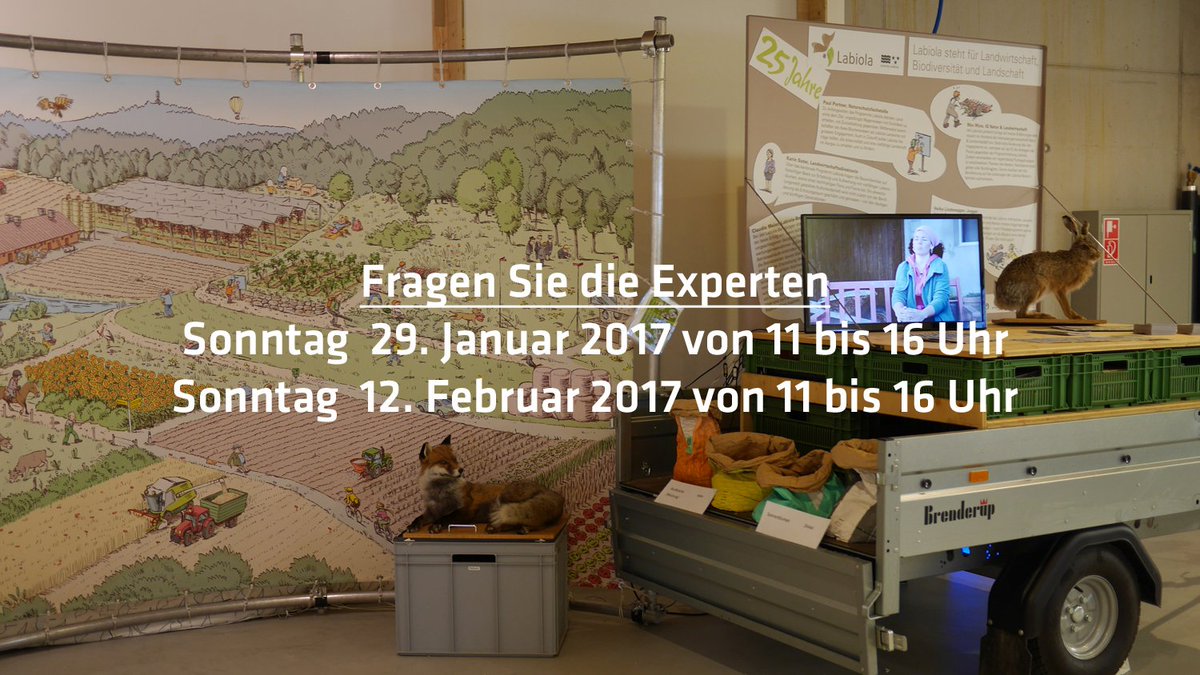 Umwelt_Arena's tweet photo. #Landwirtschaft #Nachhaltigkeit und #Biodiversität . Geht das zusammen? #Labiola zeigt wie. @kantonaargau https://t.co/7xF2b6Q4ie #naturnah https://t.co/ed6Gta7ZHv