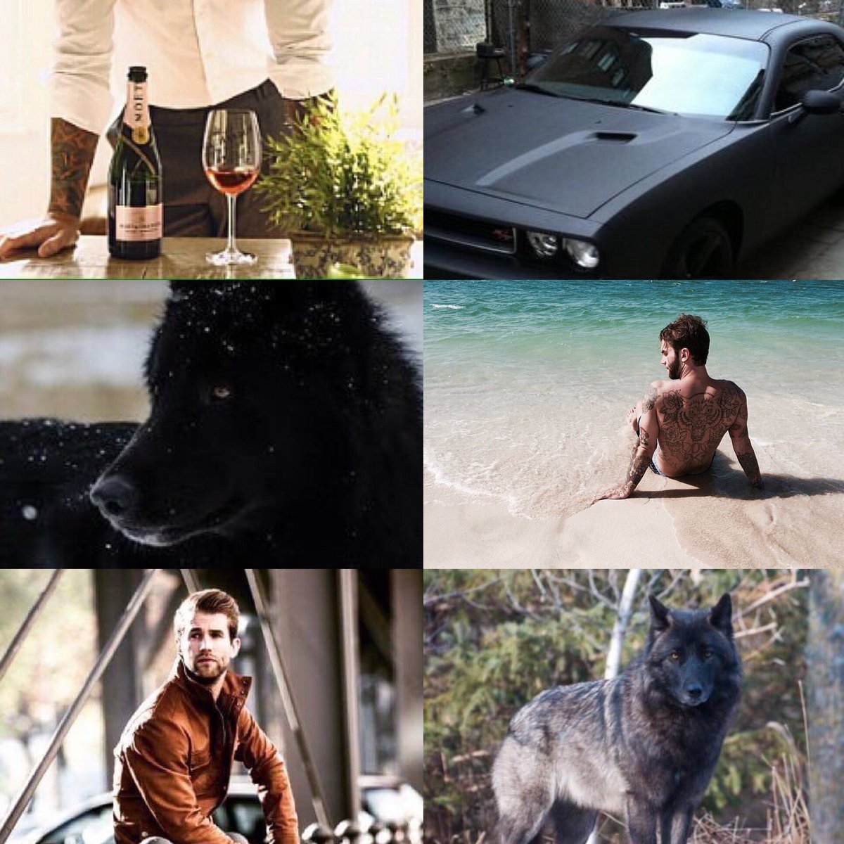 TheAlbertaPack's tweet photo. {@TheAussieChris}

The sweetheart from down under, the lost werewolf lover. https://t.co/oAm6UqaeCb