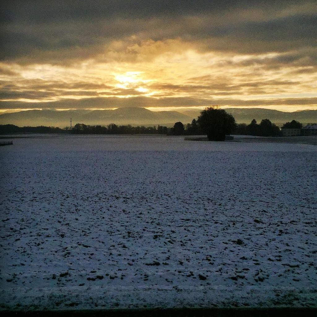 sachinm's tweet image. #sunrise #snowfields instagram.com/p/BPI54zAhlrQ/