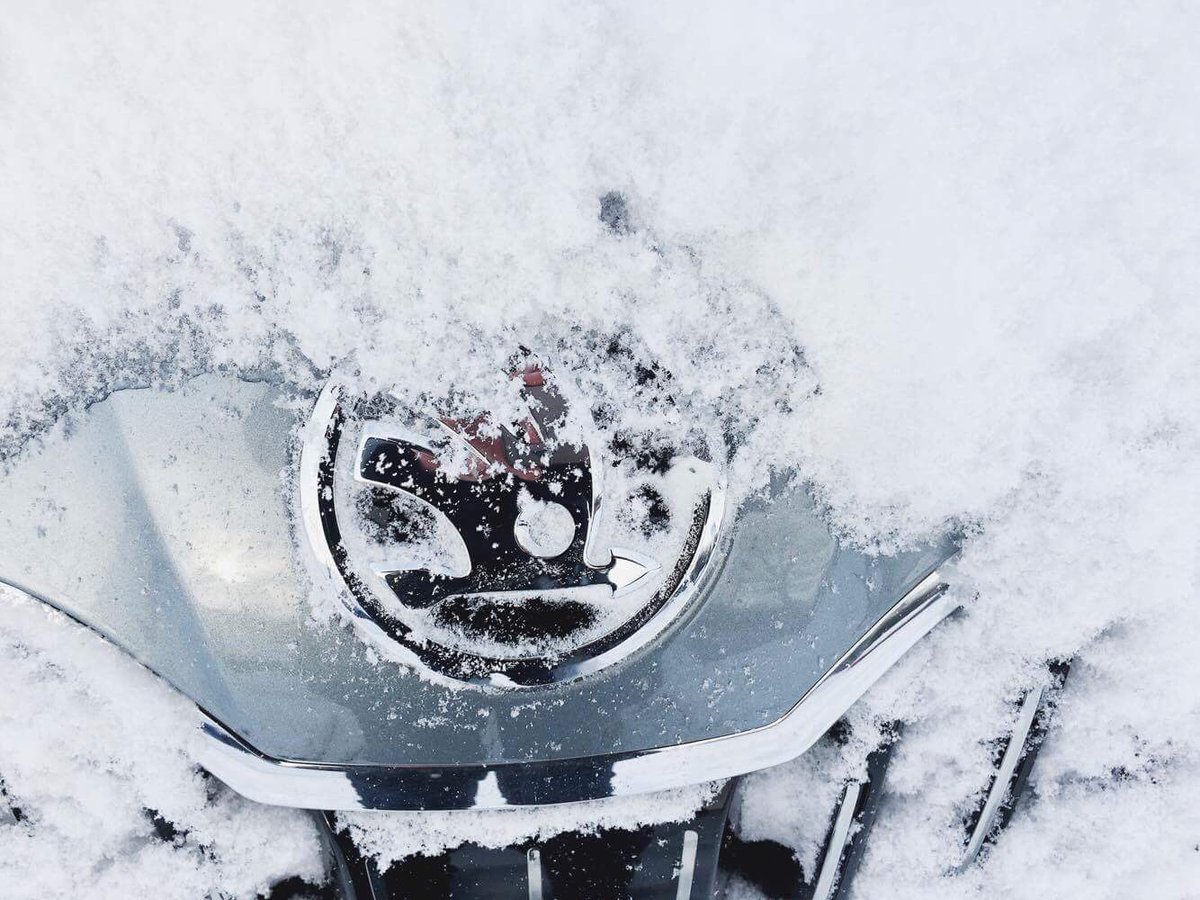 autoloungede's tweet photo. Grill im Schnee #skoda #superb #skodasuperb #platzohneende #allrad #4x4 #wirhabendeinauto #autolounge https://t.co/Zyajpzp7po