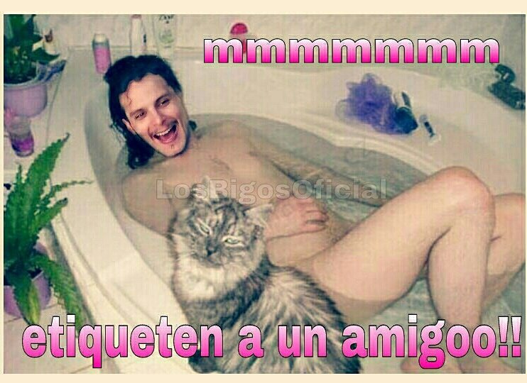 LosBigosOficial's tweet photo. #EXintegrante de la casa del gran bigote #losbigosoficial https://t.co/c9uj760rqO