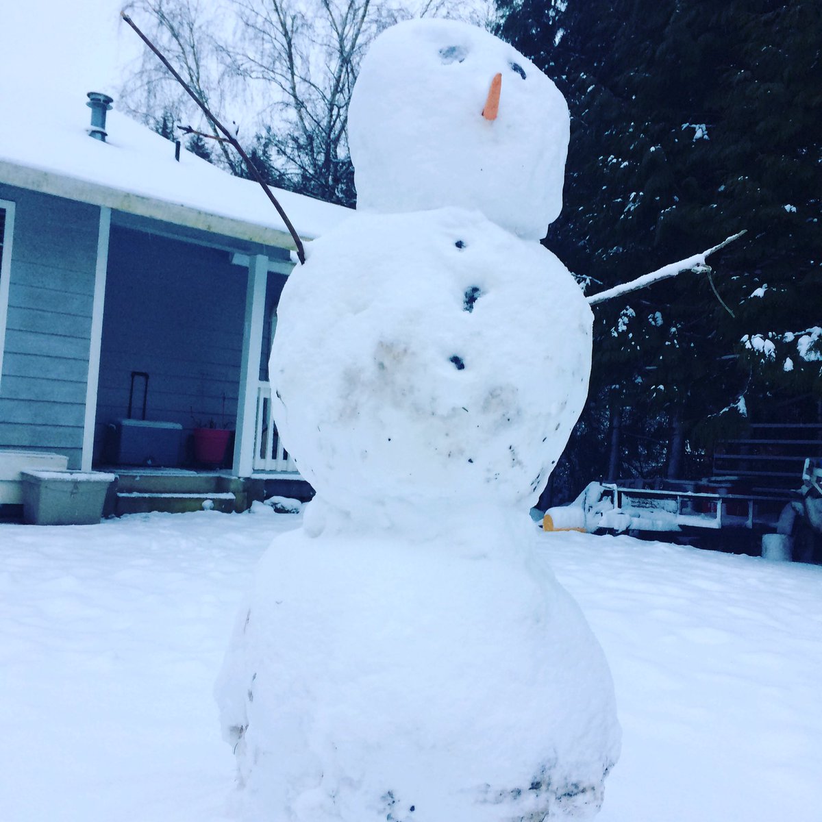 pathunt's tweet image. #snowday is more fun than a #workday #kgwweather