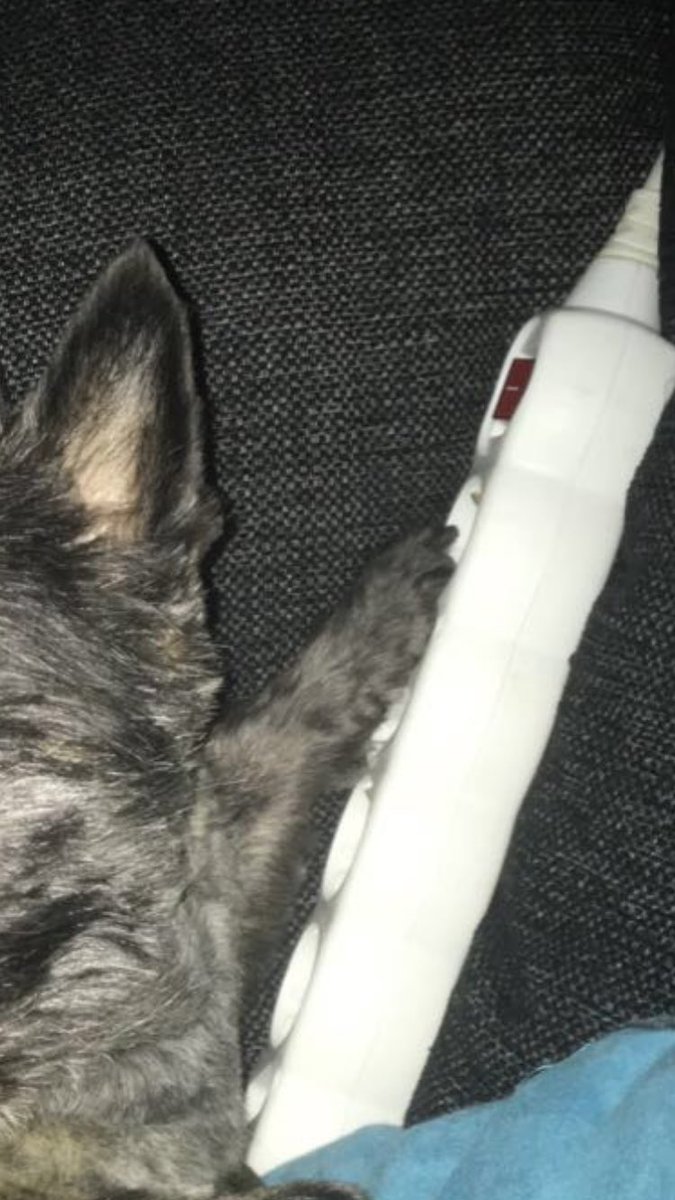 Alvaarvidssonn's tweet photo. Hej, tror du vi skulle kunna hålla kontakten???:-) https://t.co/qY2A0Z7i0a