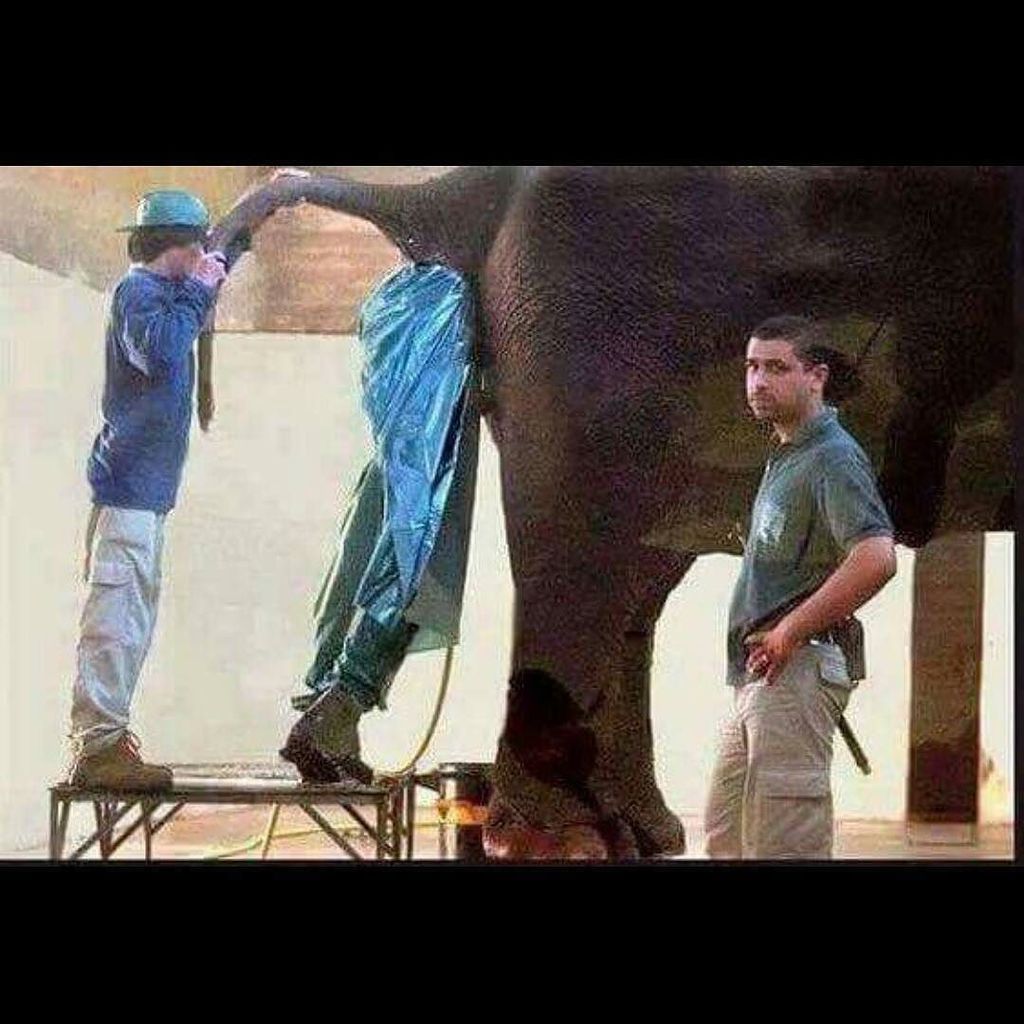 Remember, no matter how bad things seem to be, there's someone who has it worse. #BeGreatf… ift.tt/2j82BcI