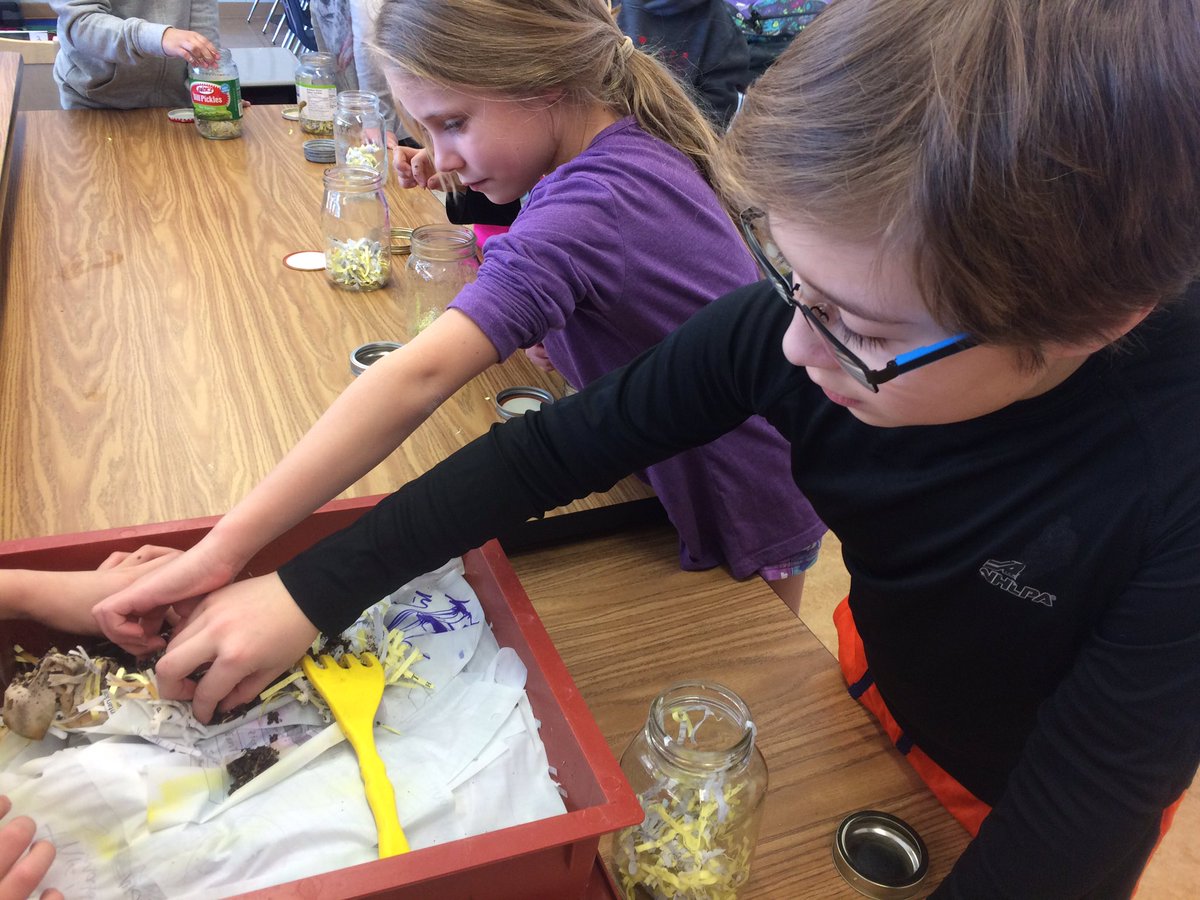 PalliserRm207's tweet photo. Making wormeries as we learn about soil! #gr3science #compost #21Clearning https://t.co/DTICkZXZte