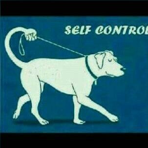 lesly_mutasa's tweet photo. https://t.co/DT73zJqula