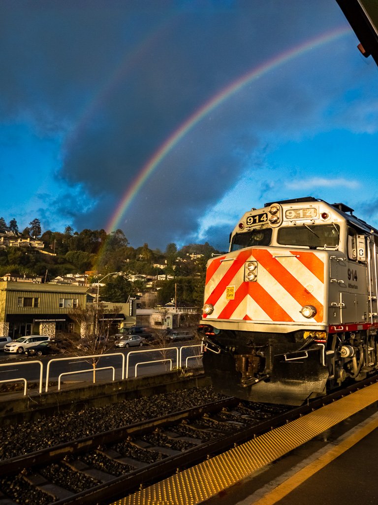 tomhogarty tweet media