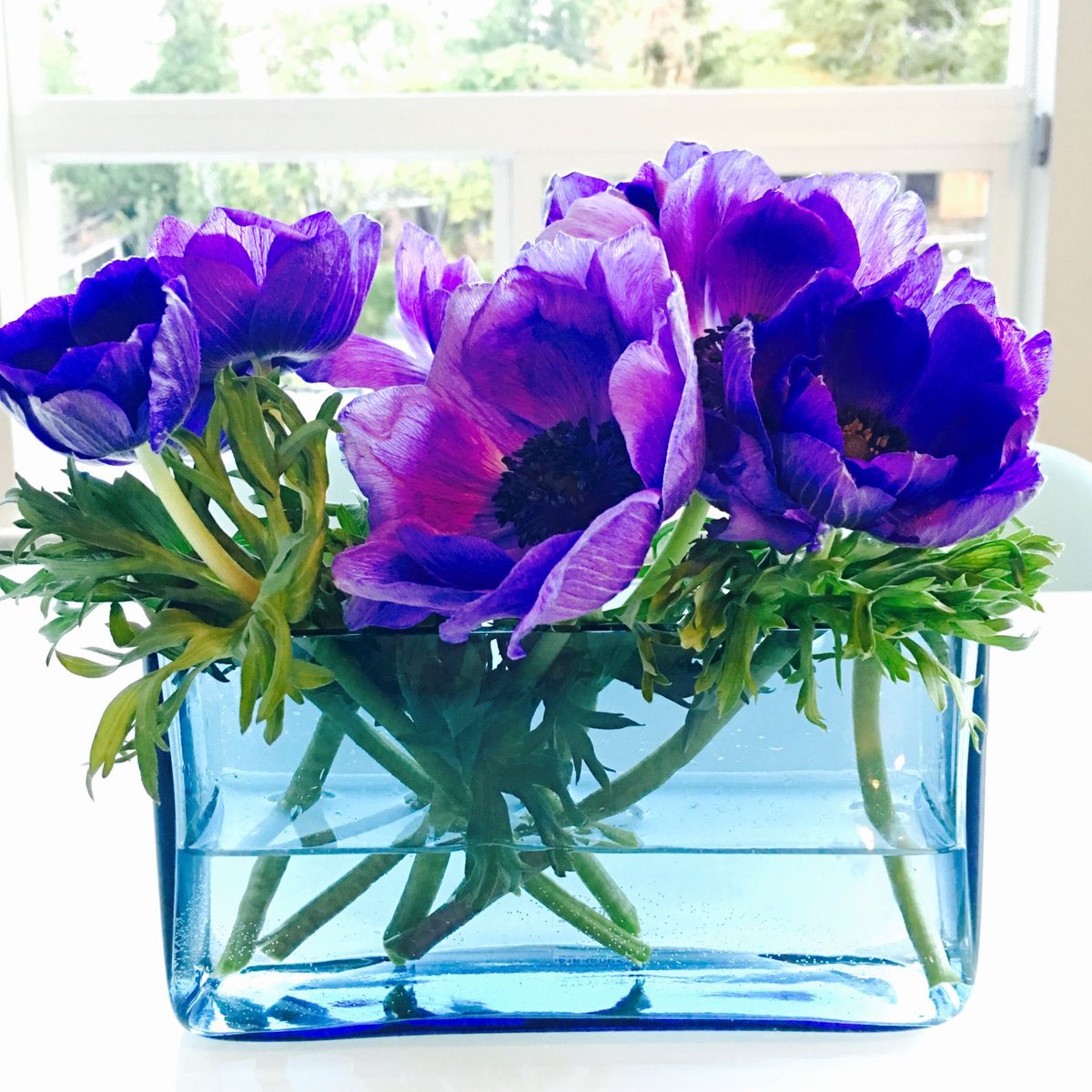 theflowerwhisper tweet media