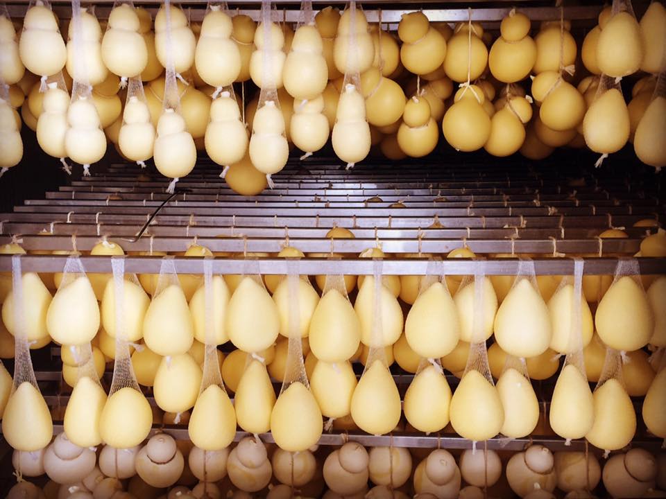 Valcoop_Puglia's tweet photo. Via ai #saldi! 15% di #sconto su tutti i prodotti per chi acquista dal nostro portale https://t.co/2GBBM5k4Aq! #Puglia #formaggi #cheese https://t.co/zpEtZnt9Vi