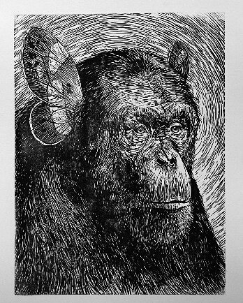 Sharing_Gallery's tweet photo. Oggi vi segnaliamo l'opera MUSIC EVOLUTION di Otto D'Ambra
https://t.co/NoJPvuJHaU
#yourartcloud #artisthecore #artsharing https://t.co/9TmVVkT9jq