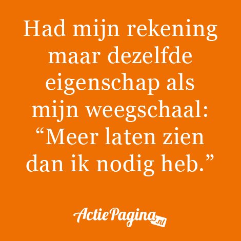 ActiePagina.nl tweet media