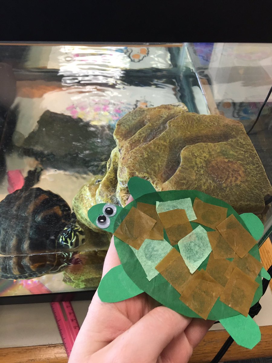 Prepping new storytime crafts! Does this one resemble anyone we know?! 😉🐢 #Fred #turtle <a href="/frampub/">Framingham Library</a>