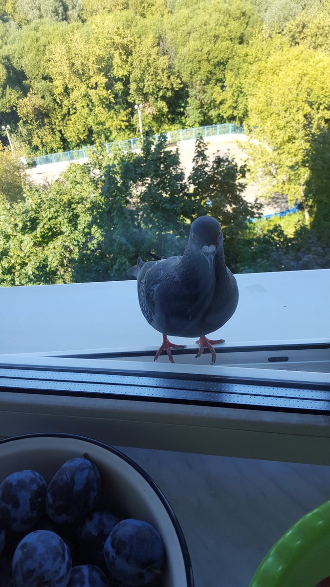 Anyuta (@anyutka_july) on Twitter photo 