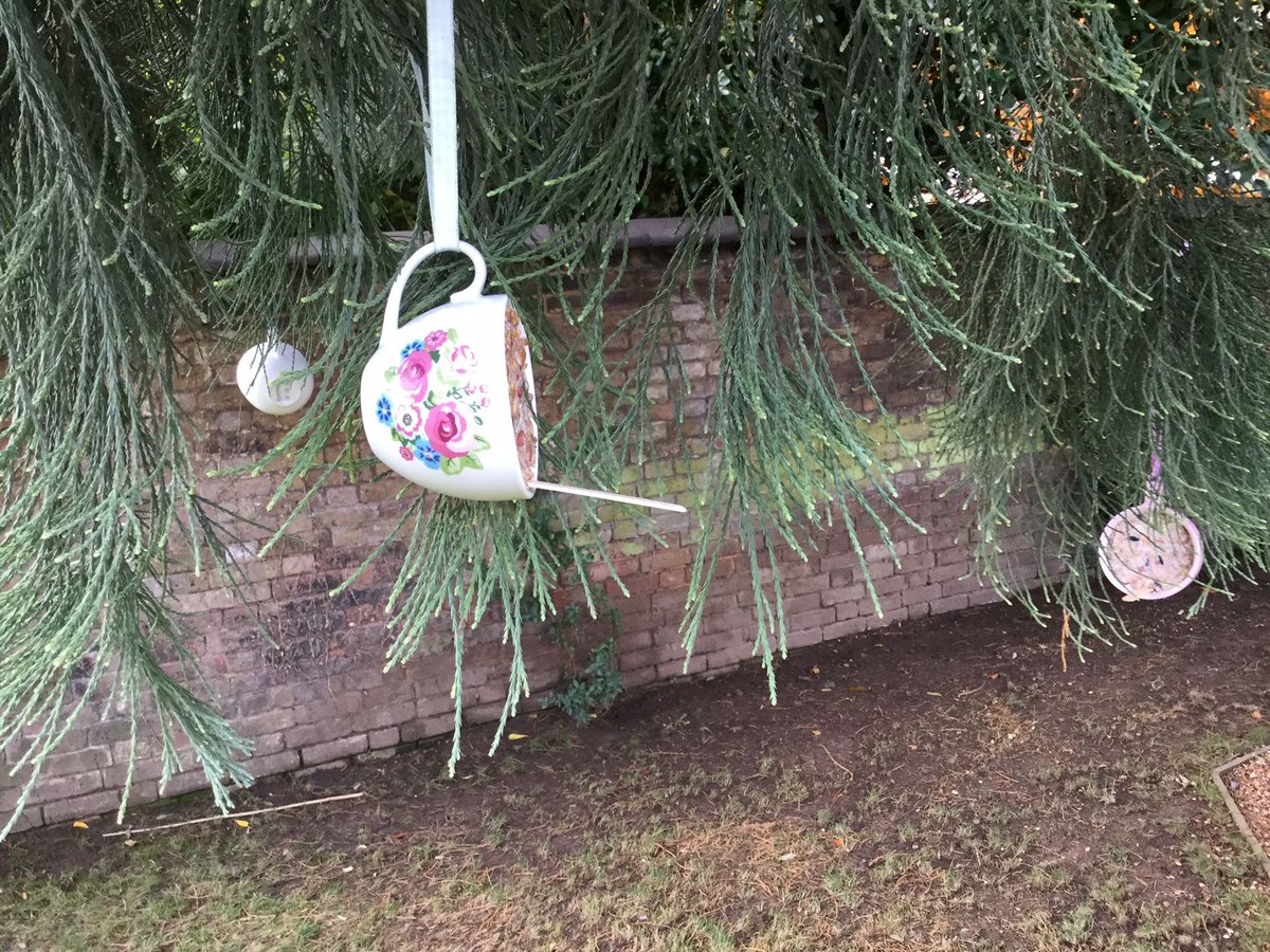 bandmcare's tweet photo. Delivered in partnership with @HCPALtd, Tremona in #Watford spent the afternoon upcycling old teapots into seasonal bird feeders #Garden https://t.co/OUyhNGsKue