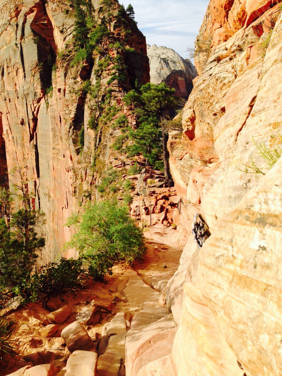 Denise13F's tweet photo. @MelissaKahn7 #Hiking #AnglesLanding in Zion National Park. https://t.co/b01Yv7sgRB