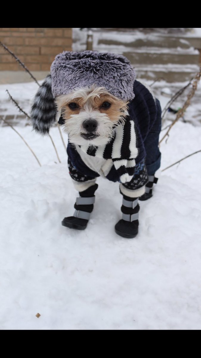 RuffStitched's tweet photo. Snowmageddon, time to build me a log cabin! #outdoorliving -
Cozy Cardigan and Jean Puperalls by @RuffStitched #iloveruff https://t.co/X62iSBZaKT