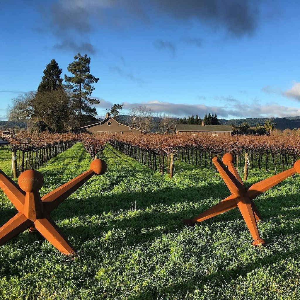 #goodday #sunshine #breakfromrain #napa #lifeisgood #ournapa #dormantvines #green #newyear #giantjacks #playmore @b…