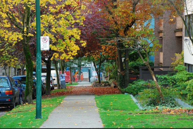 TreehuggerTwo's tweet photo. Explore the urban canopies of major cities with Treepedia https://t.co/lvDTLcCH87 by @mattyhick https://t.co/au7WArBERZ