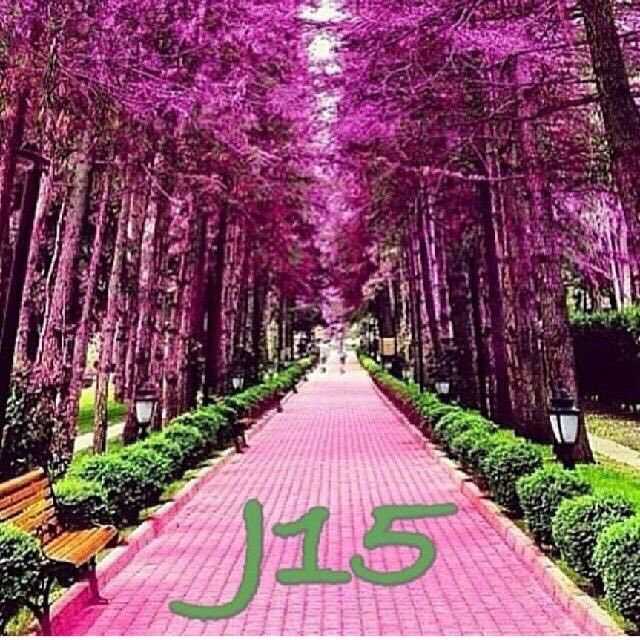 J15 is that you Koming? 💗💚