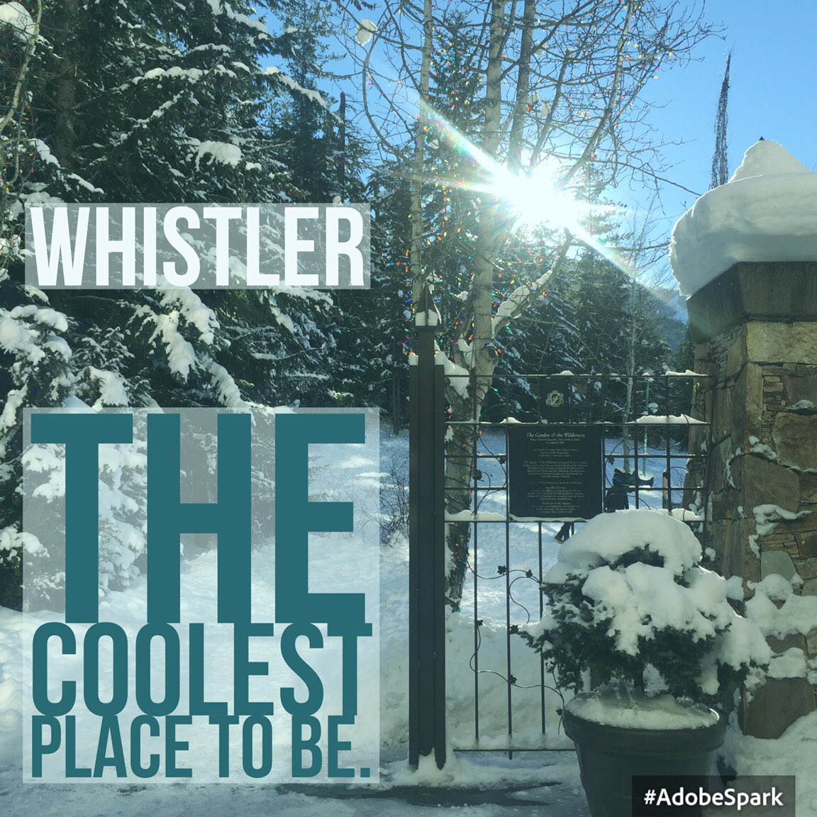 MonazaherF's tweet photo. @FairmontWhistlr #mtnsales #wearewhistler #whistler https://t.co/MkebofVeuL