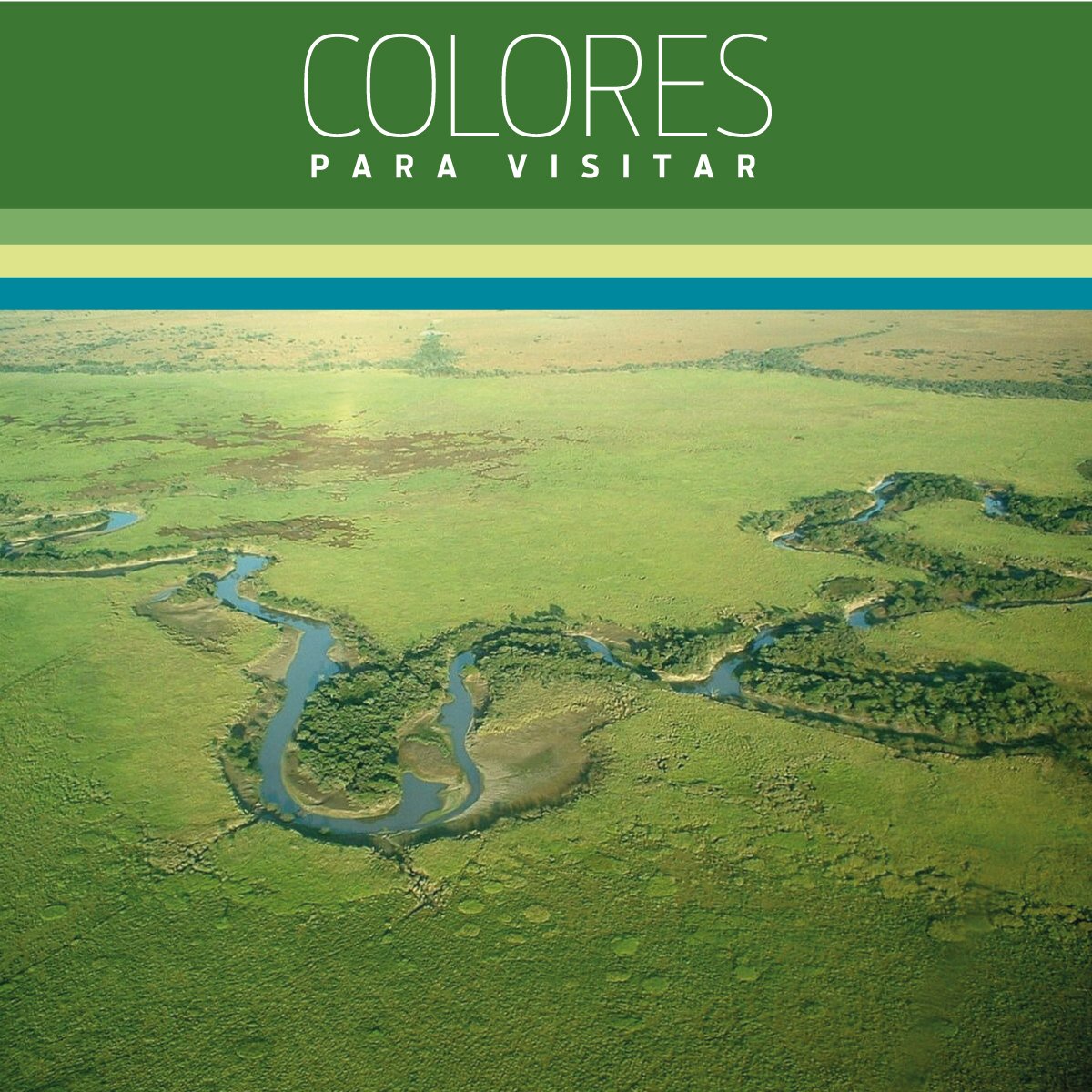 PintecordArg's tweet photo. Según el New York Times Los Esteros del Iberá Argentina es uno de los 52 lugares para conocer en 2017 https://t.co/QBcJfnWuIE #SentíElColor https://t.co/1XdOtPOH53
