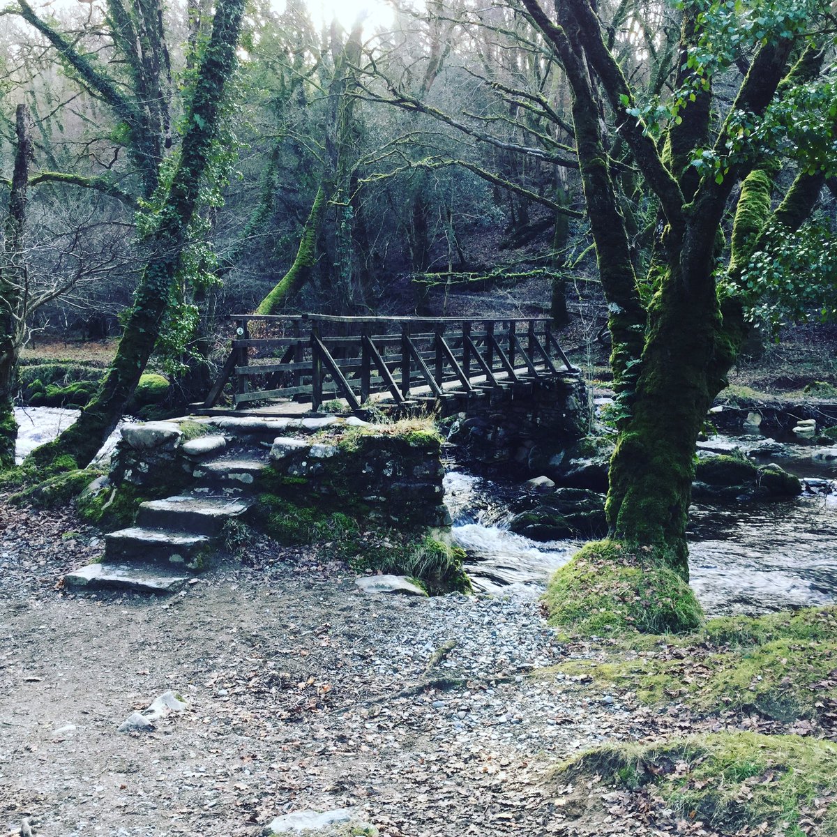 CathyhCoaching's tweet photo. Beautiful walk by the river today #Dartmoor #Walkham #nature #coaching #nlp #conversation @Dartmoor_Hour https://t.co/WCVPTijoiB