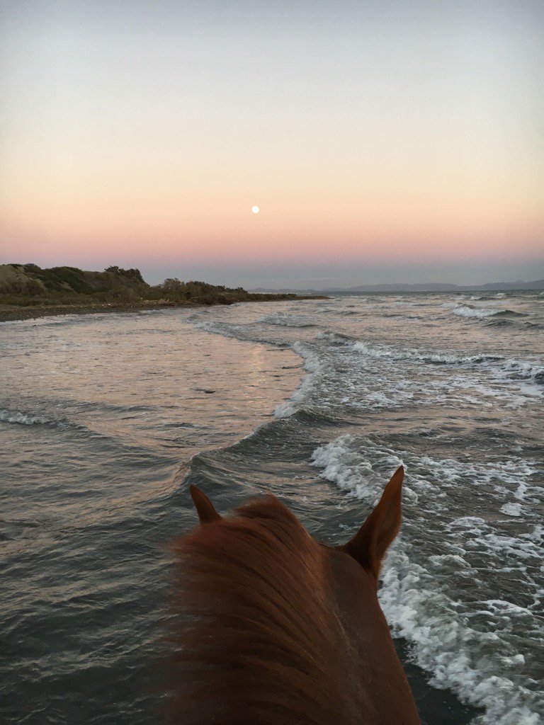 gimenica's tweet photo. La vida desde esta perspectiva, no tiene rival... #ACaballoSiempre #Tucancillo #AtardeceresAlmerienses https://t.co/z9VpHG03Ks